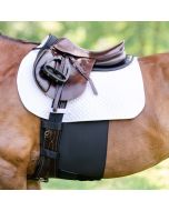 Equifit BellyBand+ Plus