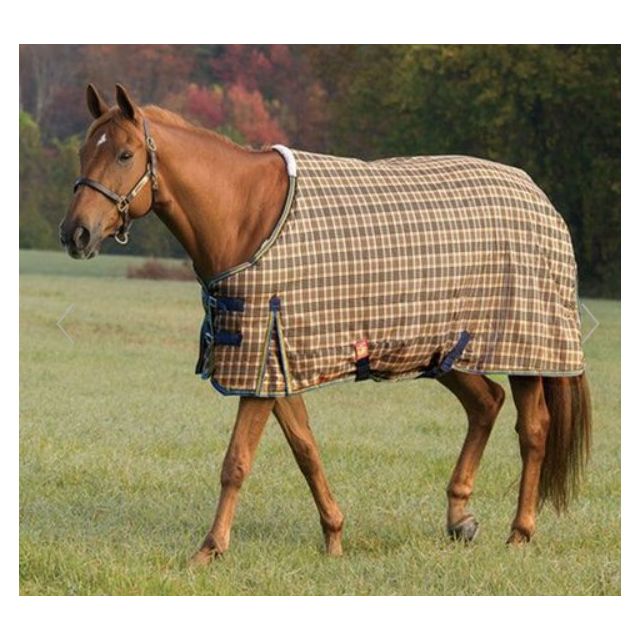 Baker Medium Weight Turnout Blanket 200g