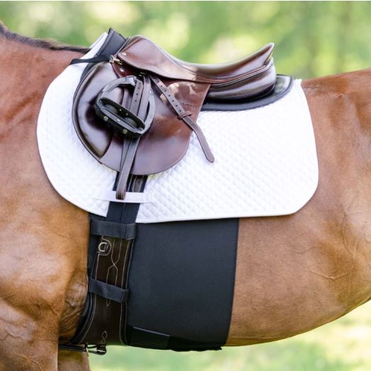 Equifit BellyBand+ Plus