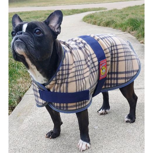 Baker Fleece Dog Blanket