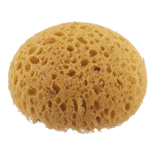 Honeycomb Sponge