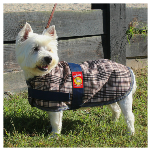 Baker Waterproof Insulated Dog Blanket